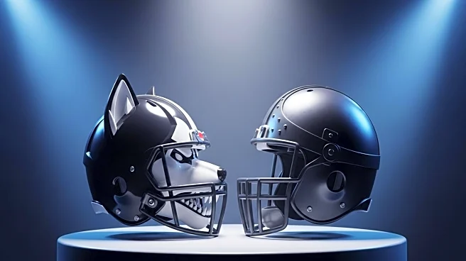 Northern Illinois Huskies Edge Out Holy Cross Crusaders in Season Opener