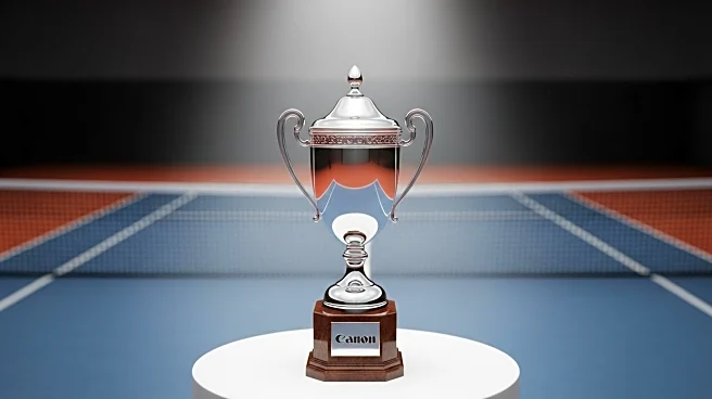 Tennis Player Sorana Cirstea Appeals for Return of Stolen Trophy