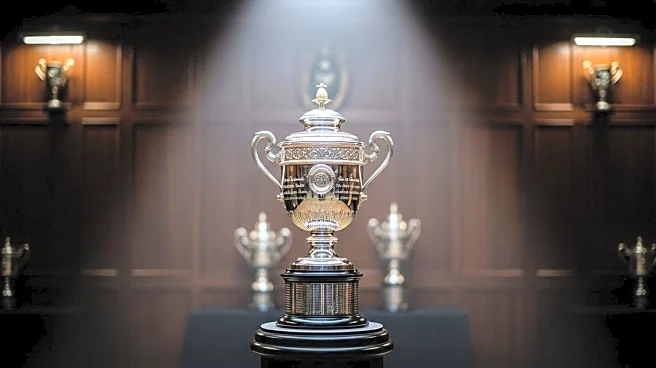 Sorana Cirstea Reports Stolen Tennis Trophy During US Open