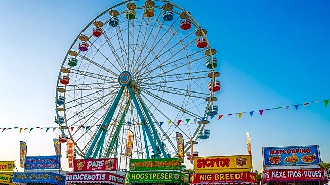 Minnesota State Fair Attracts Record Crowds, Boosting Local Business