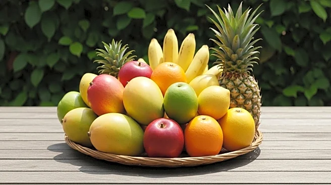 India Expands Food Exports to Philippines Amid Trade Liberalization