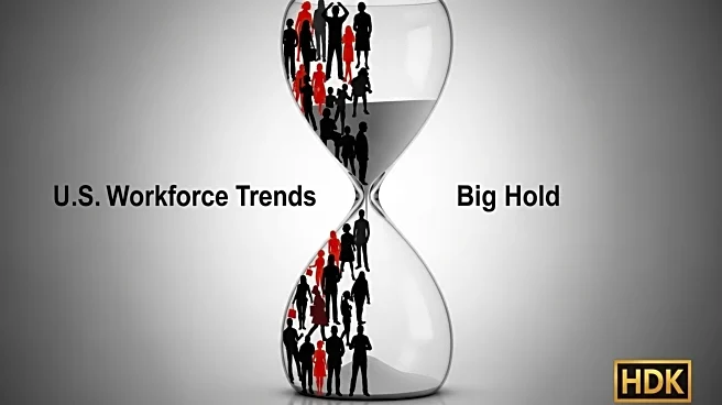 U.S. Workforce Trends: Shift from Great Migration to Big Hold Amid Job Market Concerns