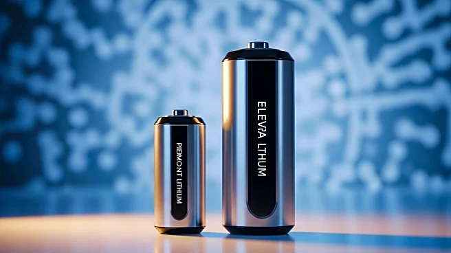 Piedmont Lithium and Sayona Mining Merge to Form Elevra Lithium, Enhancing Global Lithium Supply