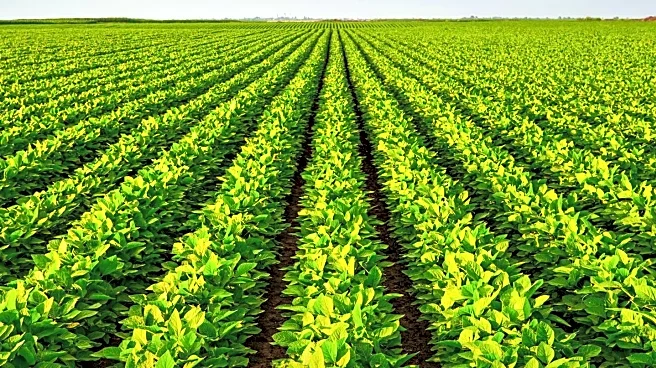 Modern Farmer Highlights September Crop Planting Strategies