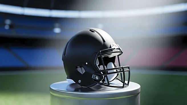 Baltimore Ravens Prepare for NFL Season with High Expectations and Concerns