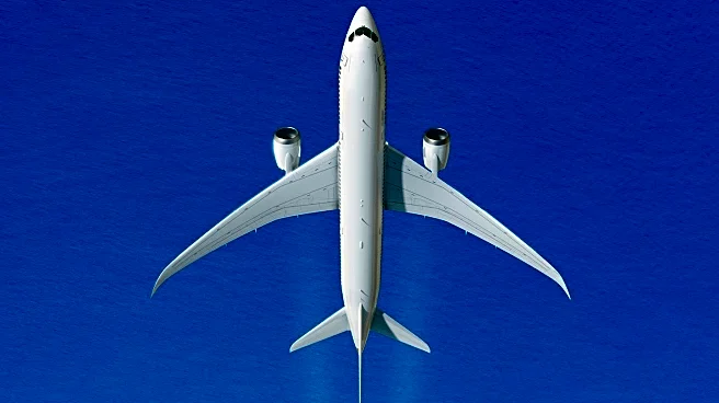 Plane Passenger's Overhead Bin Hack Sparks Debate on Flight Etiquette
