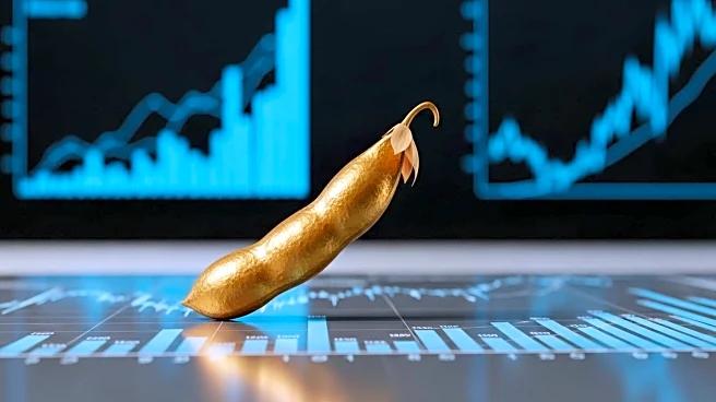 Commodity Futures Trading Commission Reports Bullish Shift in Soybean Speculation Amid Labor Day Trading Closure
