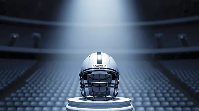 NFL Analysts Predict Pittsburgh Steelers Unlikely to Make Playoffs in 2025