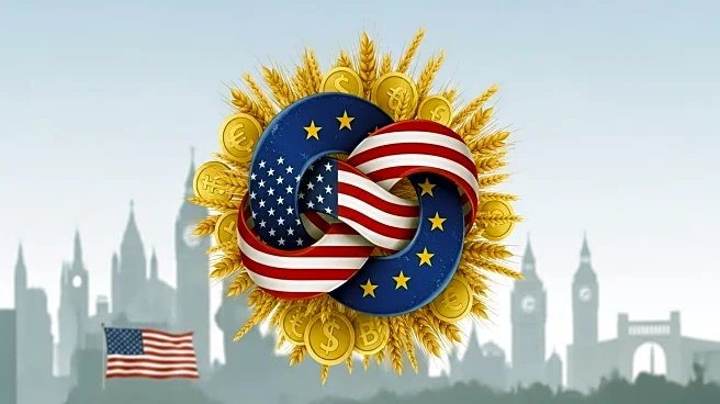 EU-US Trade Agreement Sparks Controversy Over Agricultural and Economic Impacts