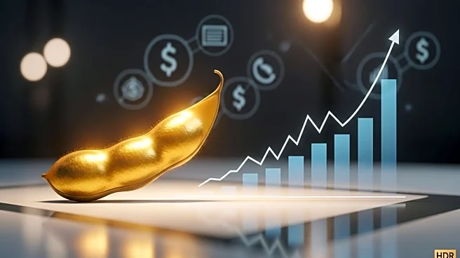 Commodity Futures Trading Commission Reports Bullish Shift in Soybean Speculation