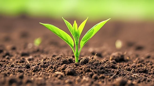 Regenerative Agriculture Certification Market Forecasted to Grow at 19.7% CAGR