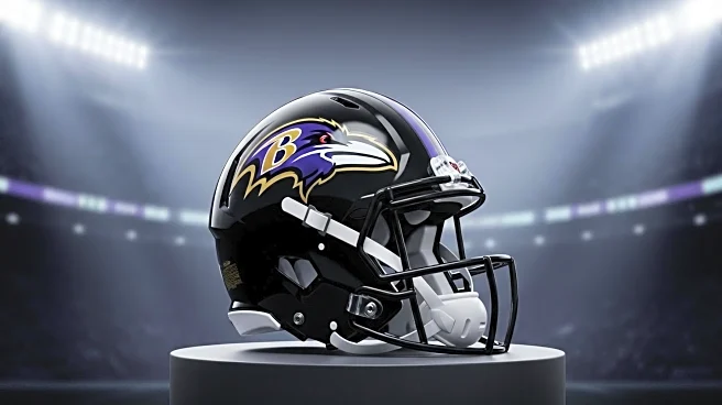 Jacob Wilson Shows Support for Baltimore Ravens Ahead of NFL Season