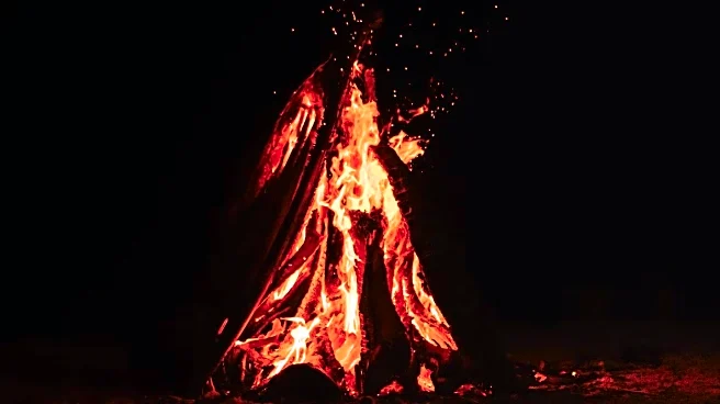 Unexpected Birth at Burning Man Festival Raises Awareness of Cryptic Pregnancies