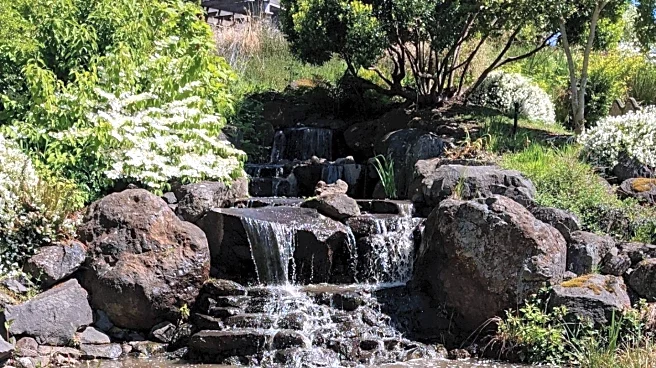 California Botanic Garden Hosts Seeds Walking Tour to Educate on Native Plants