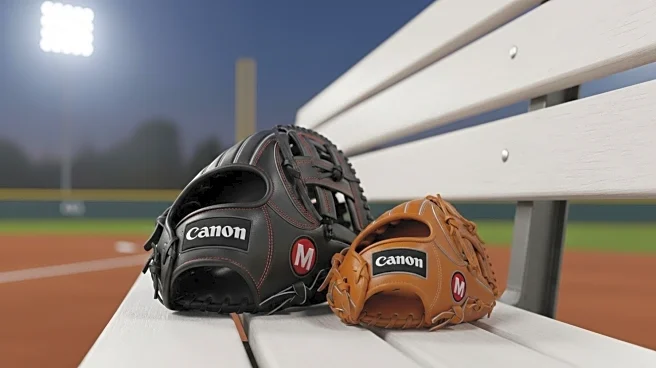 Houston Astros Reinstate Luis Garcia and Taylor Trammell, Designate Logan Davidson