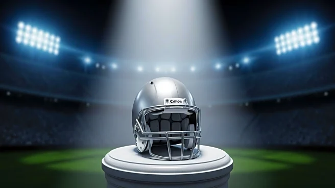 Experts Skeptical of Pittsburgh Steelers' Playoff Chances in 2025