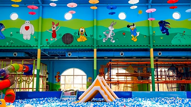 Julie Williams Creates Viral Ball Pit in Home, Attracts Social Media Attention