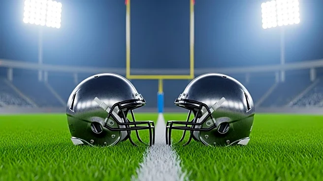 NFL Executives Predict Detroit Lions and Washington Commanders May Fall Short in 2025 Season