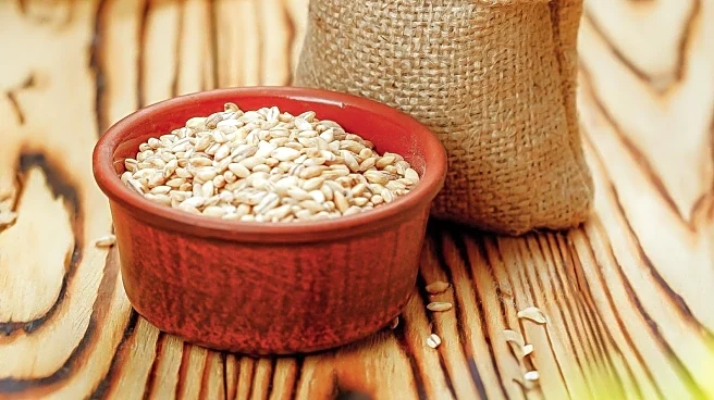 Gastroenterologists Discuss Magnesium and Fiber for Constipation Relief