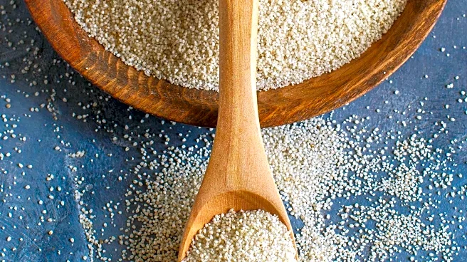 Psyllium Husk Gains Popularity for Health Benefits Beyond Digestion