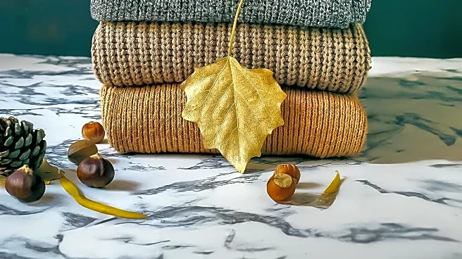 Meryll Rogge Launches Knitwear Line B.B. Wallace, Emphasizing Cozy Belgian Style
