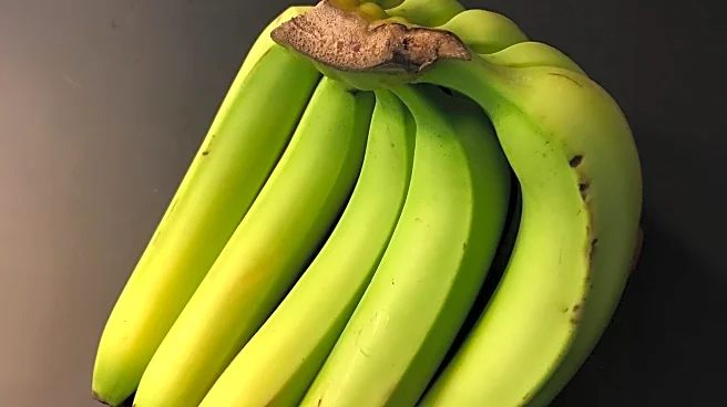 AIIMS Gastroenterologist Highlights Gut Health Benefits of Slightly Green Bananas