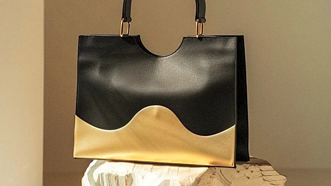 Khaite Launches Exclusive Blake Handbag, Showcasing Italian Craftsmanship