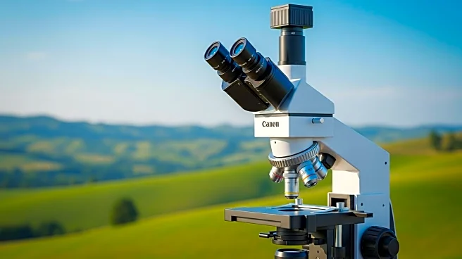 Digital Pathology Market Projected to Reach $1.91 Billion by 2032 Due to Rural Healthcare Needs