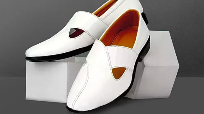 Herbert Levine Revitalizes Brand with Innovative Shoe Designs for 2025