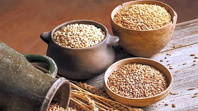 Nutritionist Highlights Health Benefits of Whole Grains