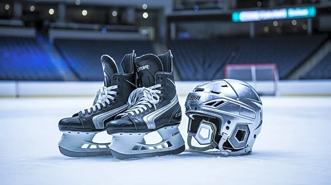 Dallas Stars Prepare for Season with Vladislav Kolyachonok's Player Profile