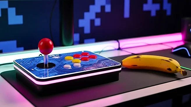 Nintendo's Donkey Kong Bananza Praised for Accessible Gameplay