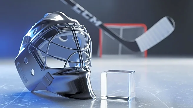 NHL Releases Fantasy Hockey Goalie and Team Win Projections for 2025-26