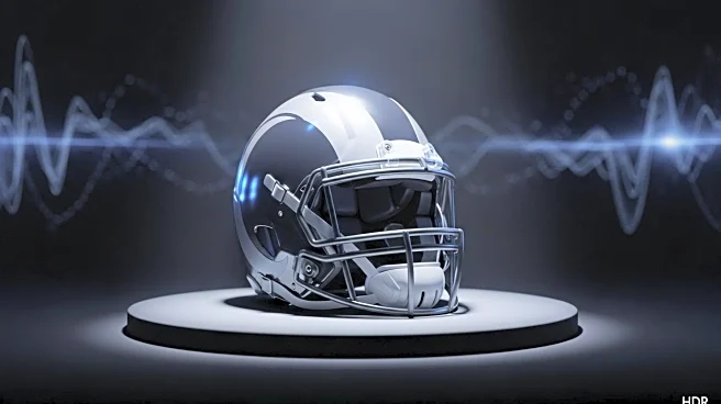 NFL Experts Forecast Promising 2025 Season for Los Angeles Rams Under Sean McVay
