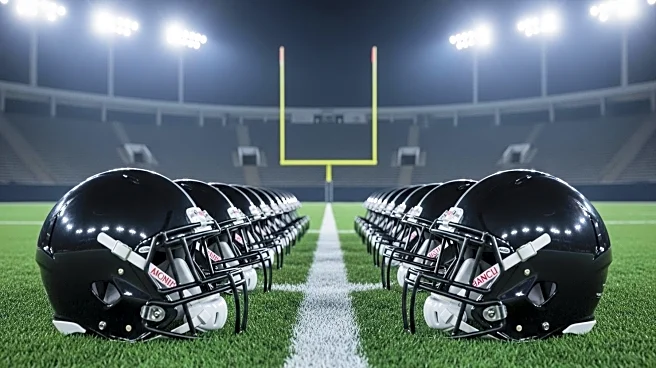 NFL Coaches Face Pressure to Deliver Wins as Season Begins