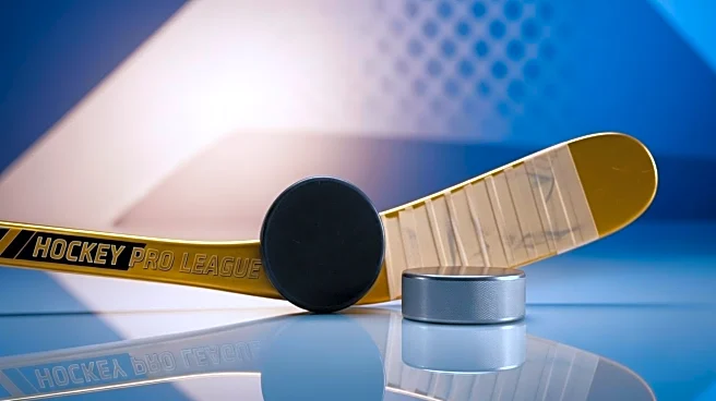 Pakistan Government Promises Funds for Hockey Pro League Amid Financial Concerns