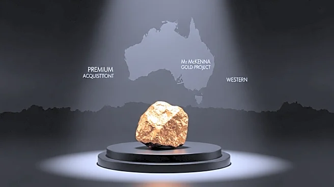 Platina Resources Acquires Mt McKenna Gold Project in Western Australia