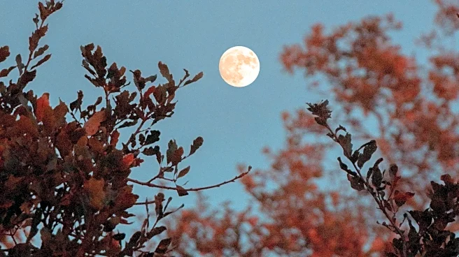 We Explore Earth Hosts Free Full-Moon Hike and Yoga Event in Los Angeles