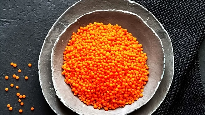 University of Chicago Researchers Identify Zeaxanthin as a Cancer-Fighting Nutrient