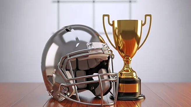 NFL Pundits Predict Buffalo Bills and Joe Burrow for Super Bowl and MVP
