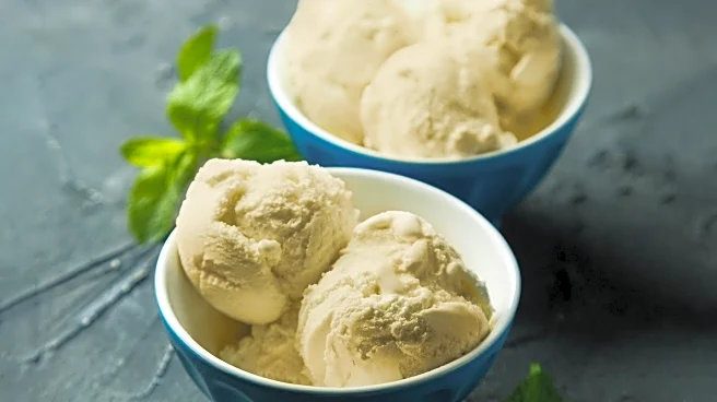 Whoa Momma Protein Introduces Decadent Protein Gelato for Health-Conscious Consumers