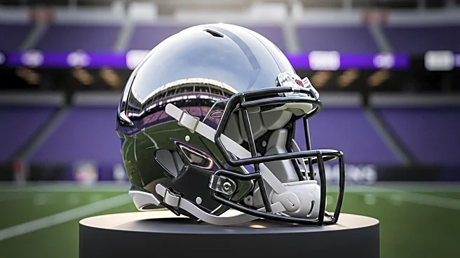 Baltimore Ravens Predicted to Win AFC North in 2025 NFL Season