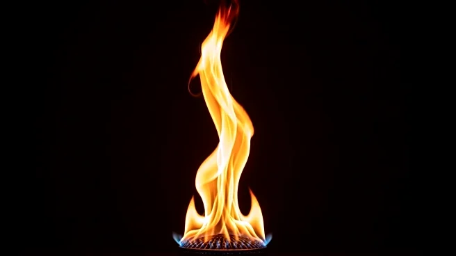 Rising Natural Gas Prices Expected to Increase U.S. Electricity Costs