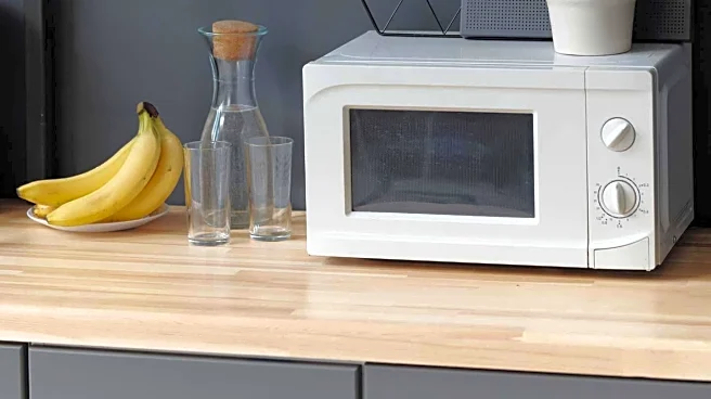 Cleaning Experts Reveal Efficient Microwave Cleaning Hack for Improved Hygiene