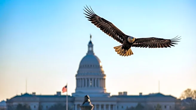 President Trump's Executive Order Increases On-Site Federal Workforce in DC