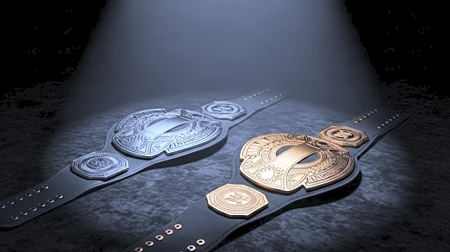WWE Rivalries That Never Headlined WrestleMania Highlighted