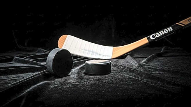 Wayne Gretzky's Final Game Jersey Expected to Fetch Millions at Auction