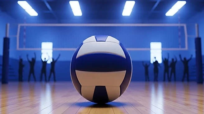 Demi Carbone Shines with Serving Skills in Providence Volleyball Victory