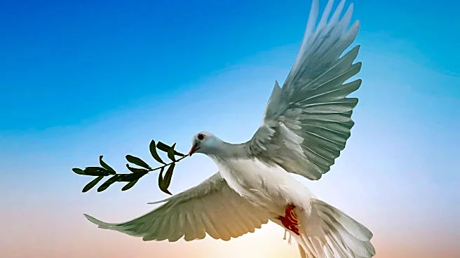 Waynesboro YMCA Hosts 'A Day of Peace' with Music and Dove Release