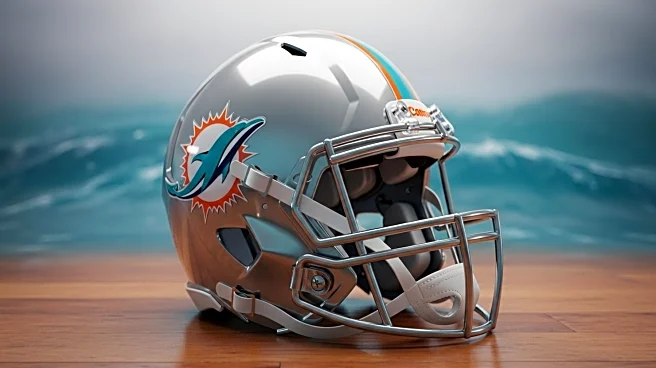 Miami Dolphins Waive Bayron Matos Following Injury Settlement